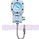 WTY-205Z 壓力式溫度計電機軸承測溫儀表
